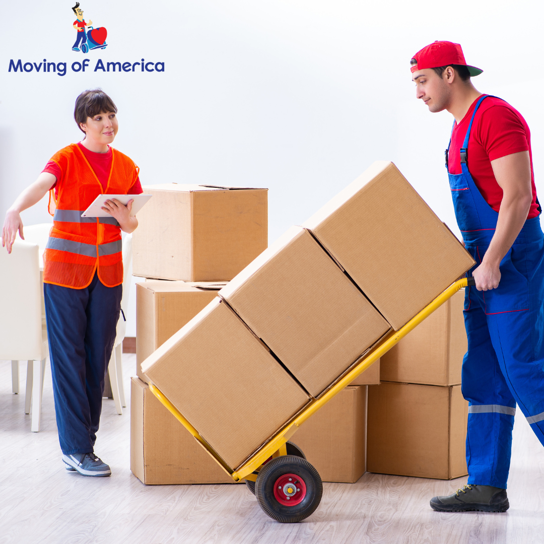 Local Packer and movers